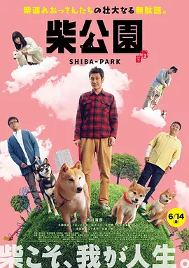 安徽地震了吗