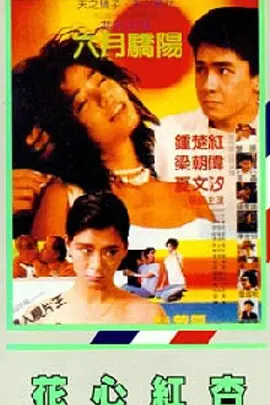 精品一区二区三区av